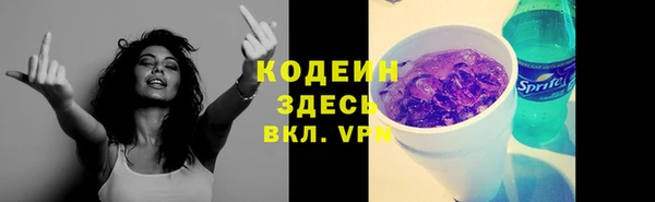 ECSTASY Алзамай
