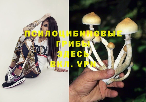 эйфоретик Алексеевка