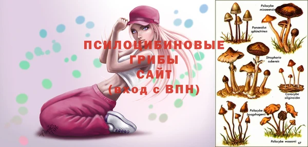 эйфоретик Алексеевка