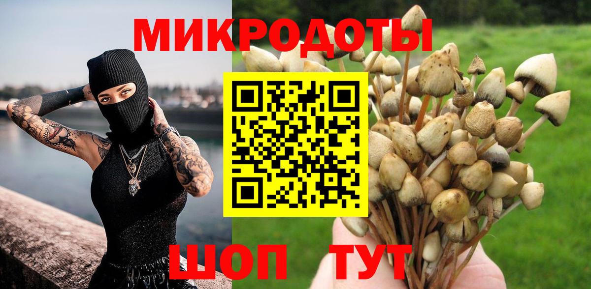 Аргун  Галлюциногенные грибы прущие грибы  Вход с VPN  Галлюциногенные грибы ЛСД 