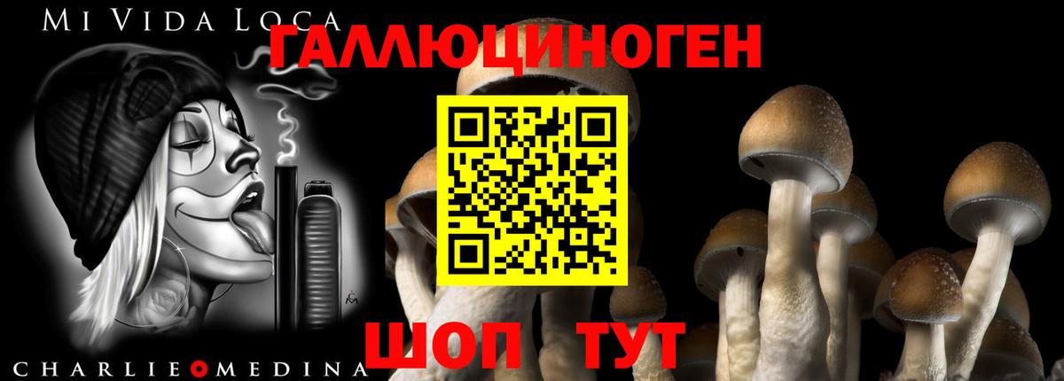 Псилоцибиновые грибы Cubensis Аргун