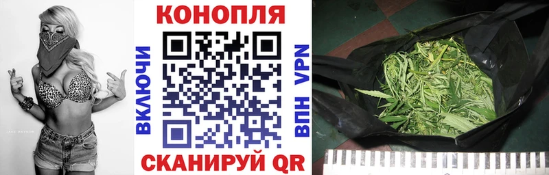 Бошки Шишки Ganja Аргун