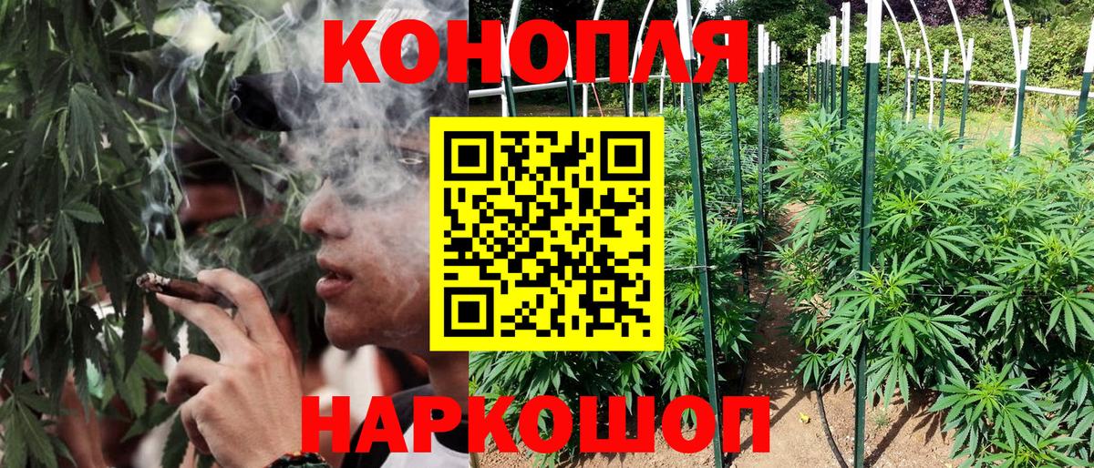 Канабис ГИДРОПОН Аргун